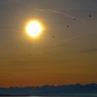 Gegenlichtstimmung überm Bodensee vor Bergkulisse