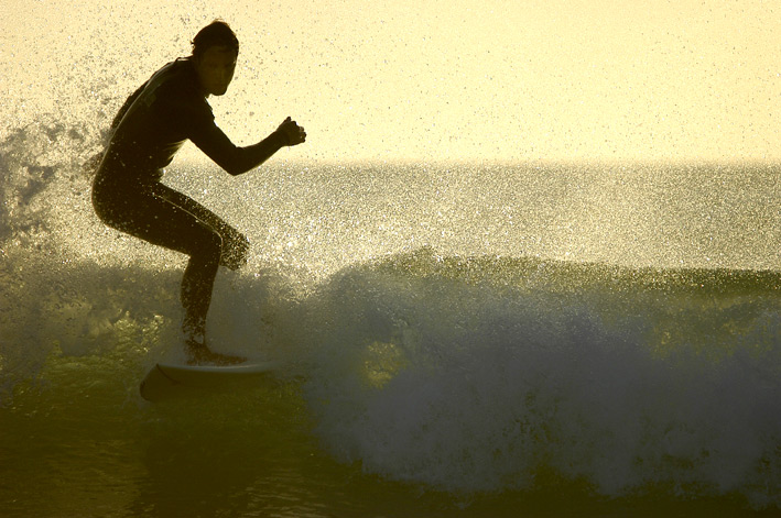 gegenlichtsurf...el palmar2#