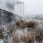 Gegensätze in den Wassergärten Landsweiler-Reden