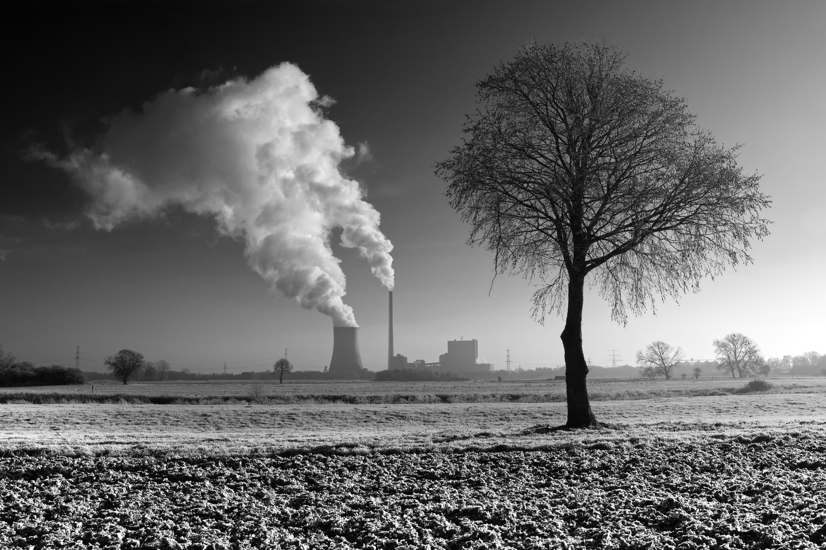 Gegensätze: Kohlekraftwerk und Baum 