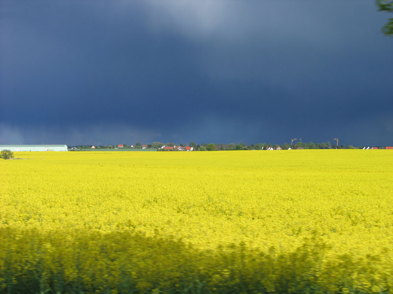 Gegensätzlich - Sonne und dunkle Wolken