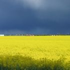 Gegensätzlich - Sonne und dunkle Wolken