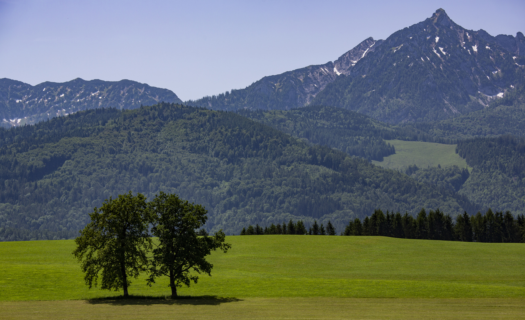 Gegenseitige Rücksicht und Behinderung