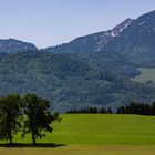 Gegenseitige Rücksicht und Behinderung