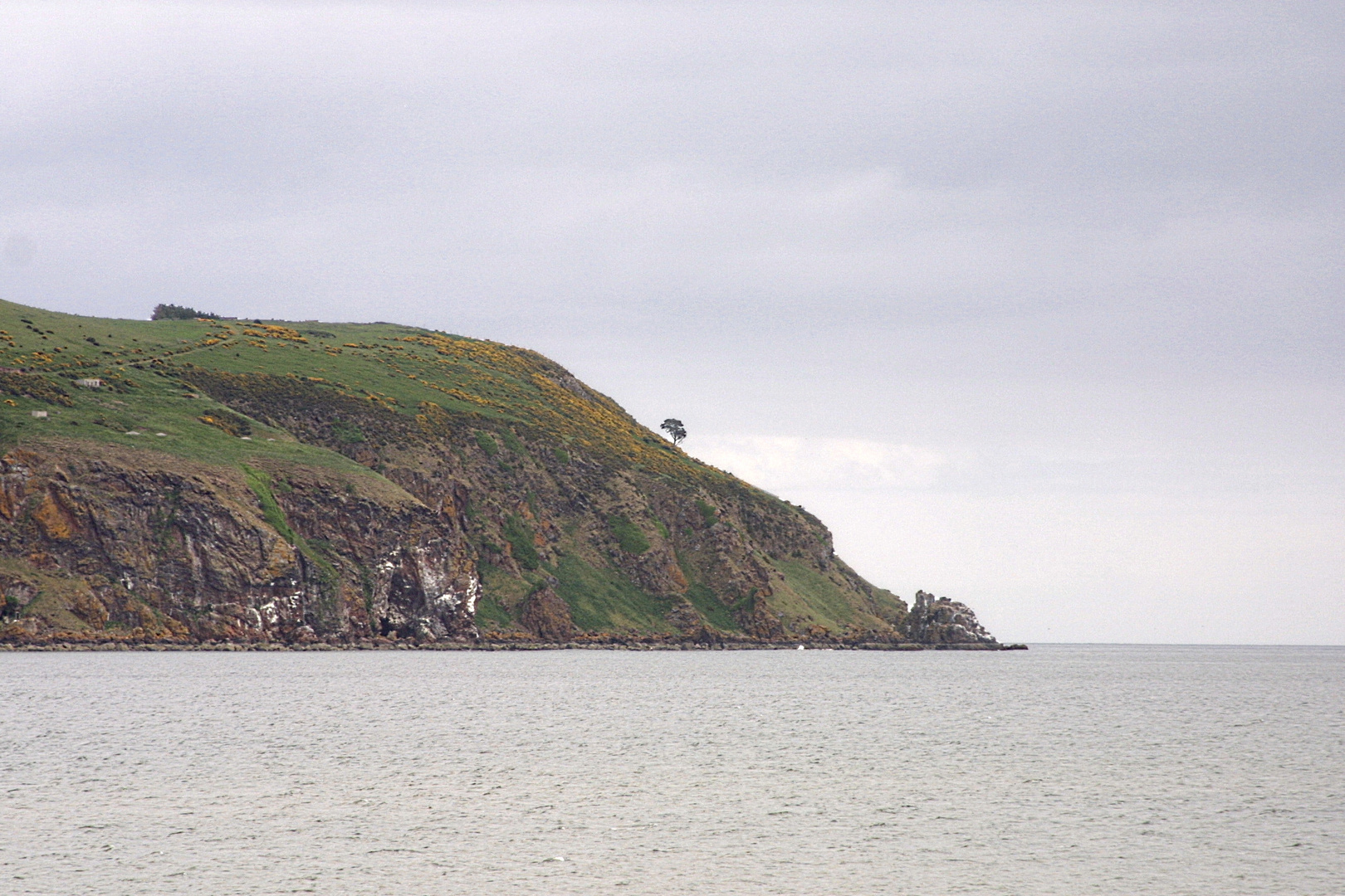 gegenüber Cromarty auf Black Isle ... Schottland