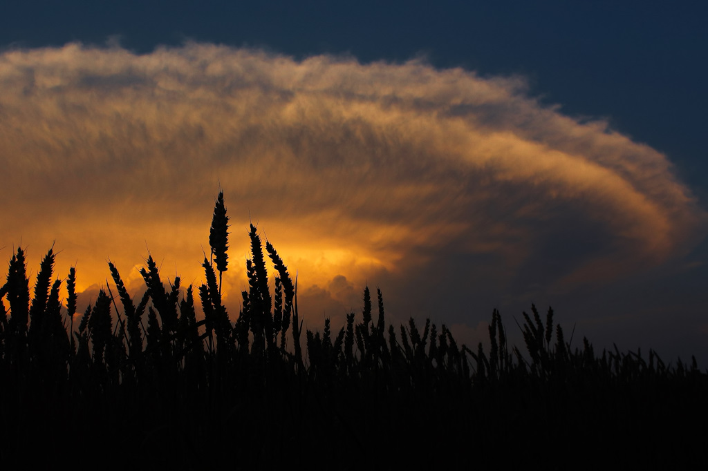 gegenüber dem Sonnenuntergang