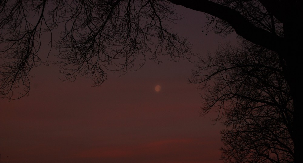 Gegenüber des Sonnenaufgangs der Mond