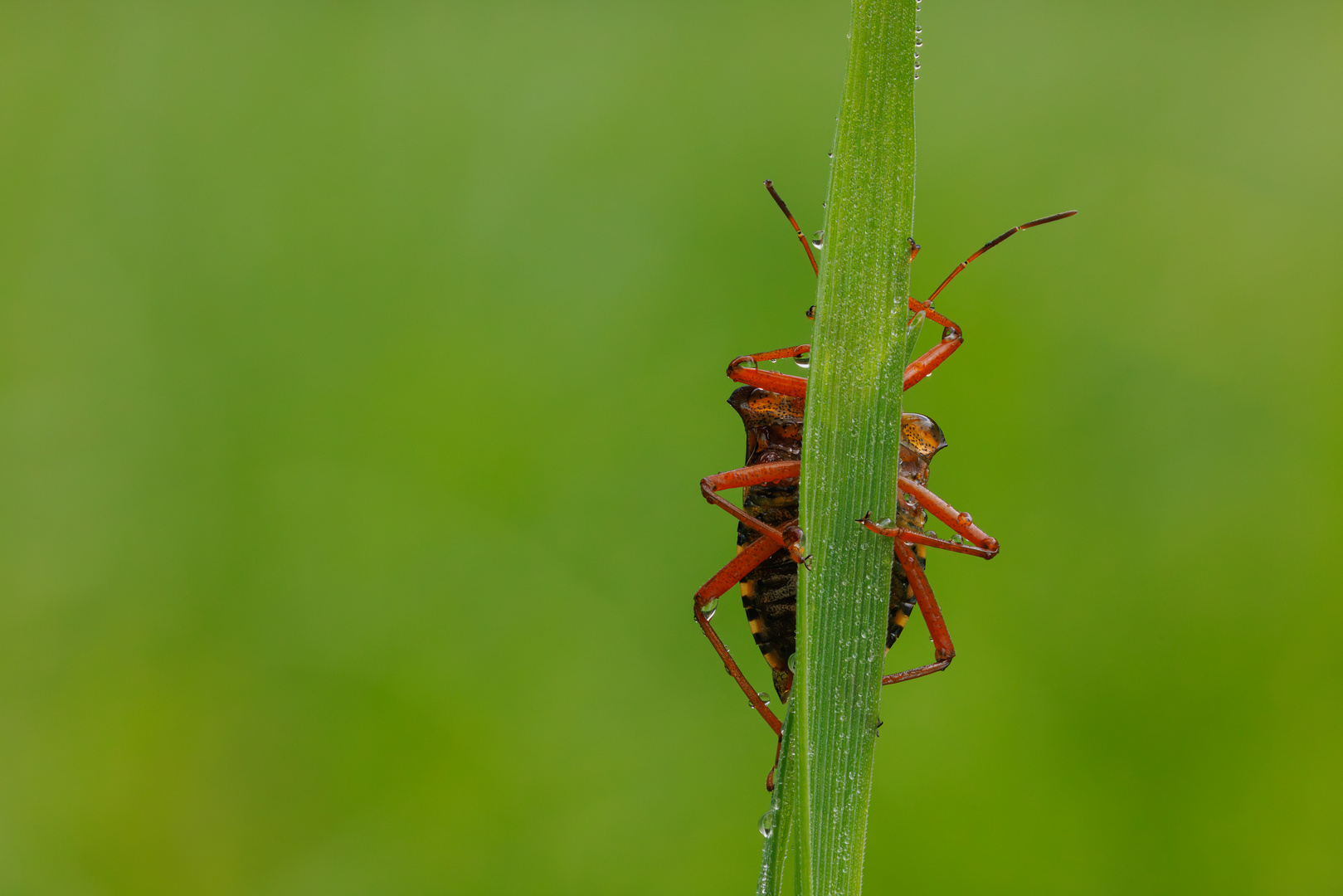 gegenüber Position