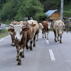 Gegenverkehr 2013