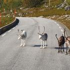 Gegenverkehr ...