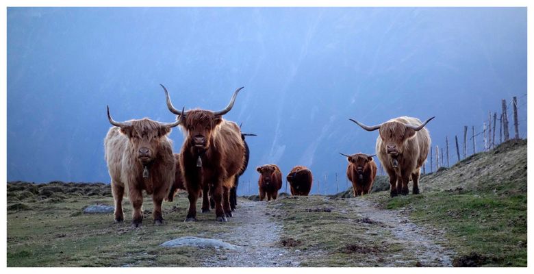Gegenverkehr beim Radeln