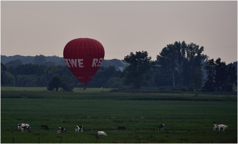 Geglückte Landung