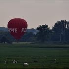 Geglückte Landung