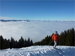 Geglückter Start ...