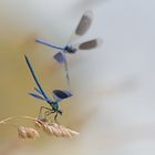 Gegner im Anflug