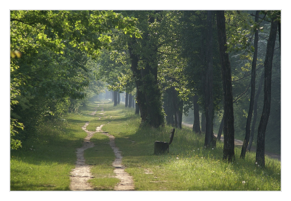 Geh Deinen Weg