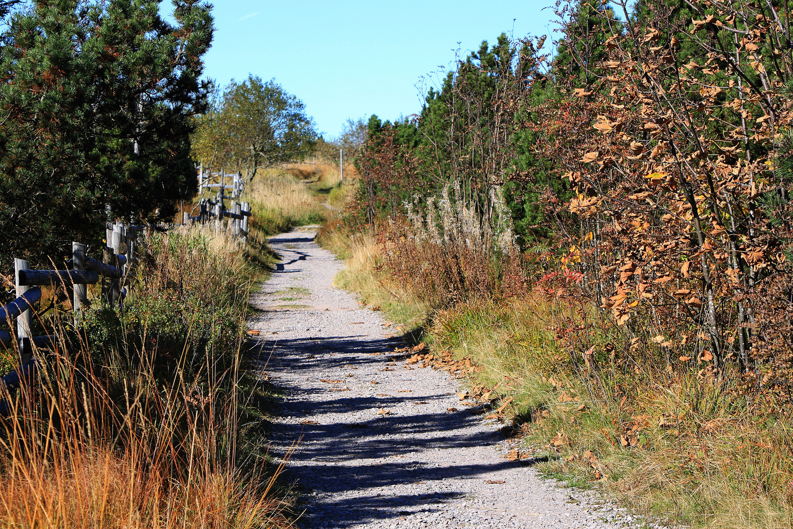 geh deinen Weg