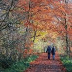 Geh deinen Weg II