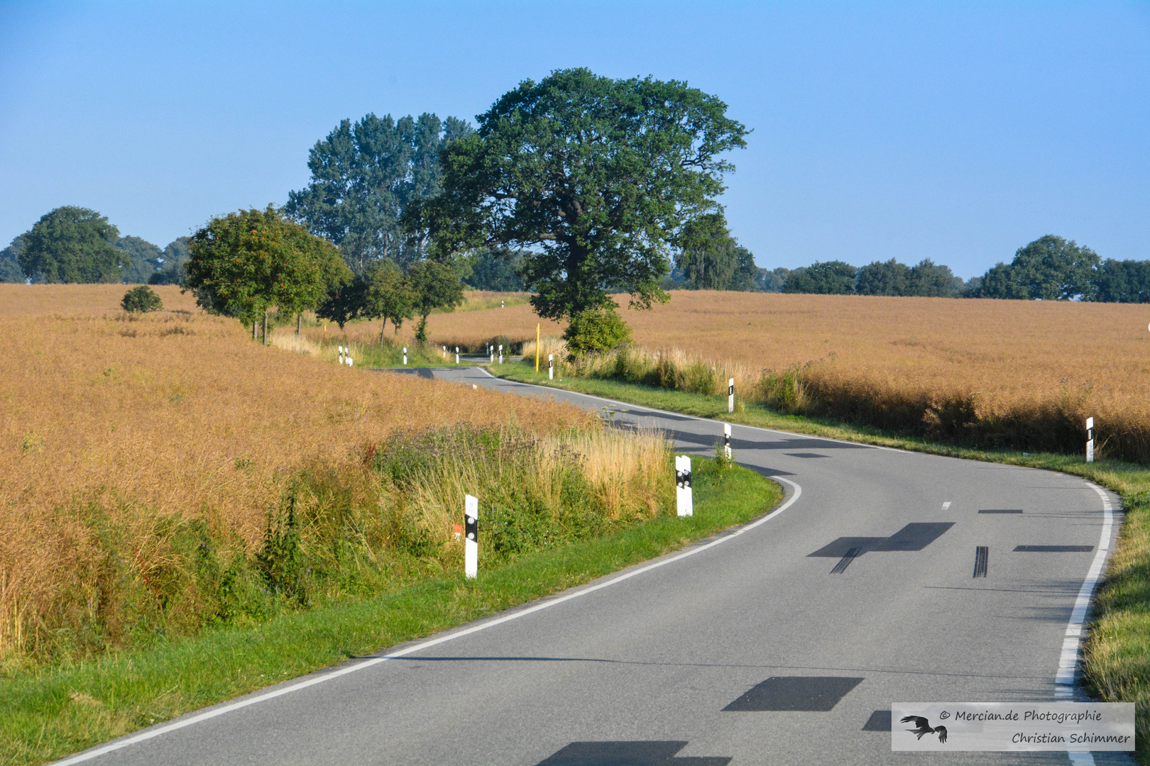 Geh deinen Weg ohne Eile und Hast