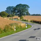 Geh deinen Weg ohne Eile und Hast