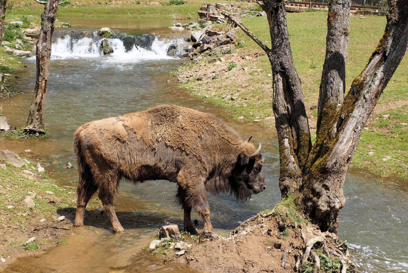 Geh ich ins Wasser … oder lieber doch nicht …. 