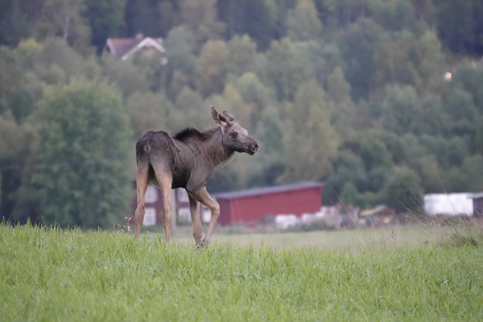 "Geh ich zur Mama, oder...?"