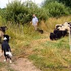 "Geh jetzt rein, oder soll dich erst beißen!"