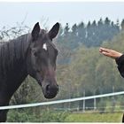 "Geh mal einen Meter zurück, ich möchte ein Foto machen "