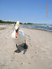 Geh rüber, der Strand ist meine.