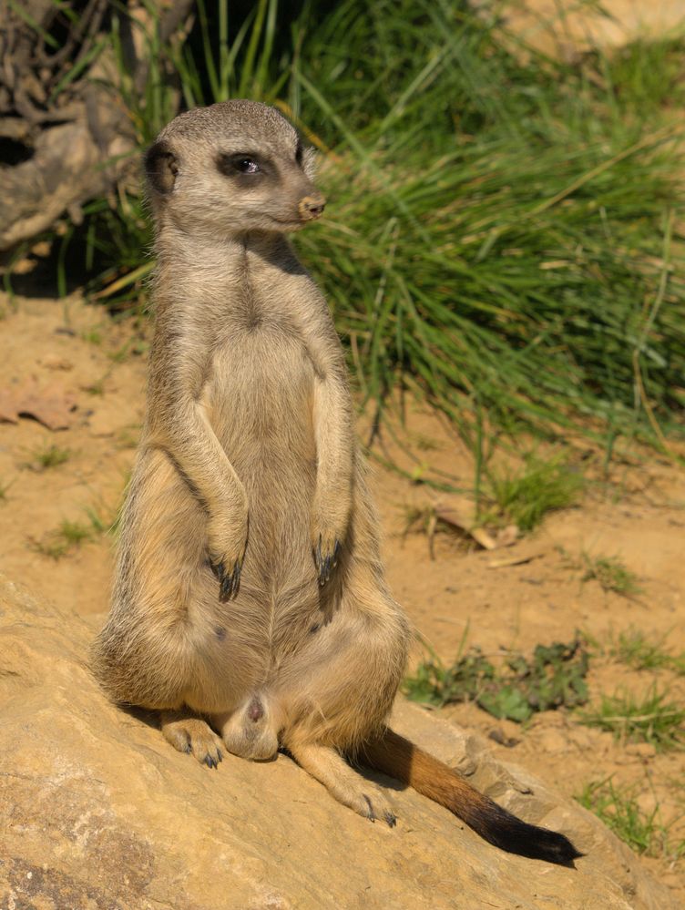 Geh weiter, ich hab dich schon längst im Blick!