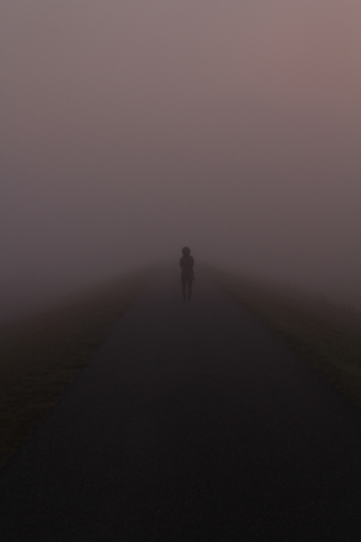 Gehe nicht in den Nebel!