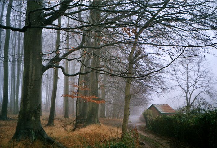 Geheheimnissvolle Stille von Erika Wenzel