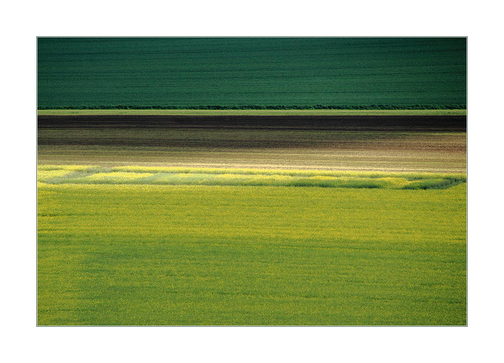 ...geheime, archäologische Zeichen im Feld...