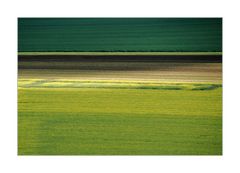 ...geheime, archäologische Zeichen im Feld...