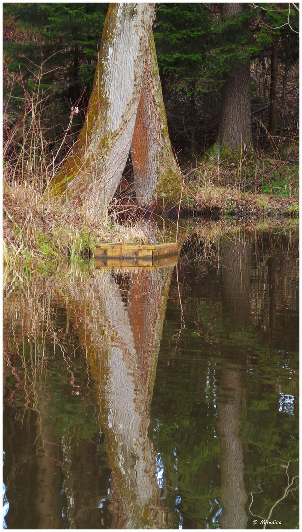 Geheimer Wassertunnel??