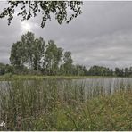 Geheimisvolle Insel am Jedwabskie See