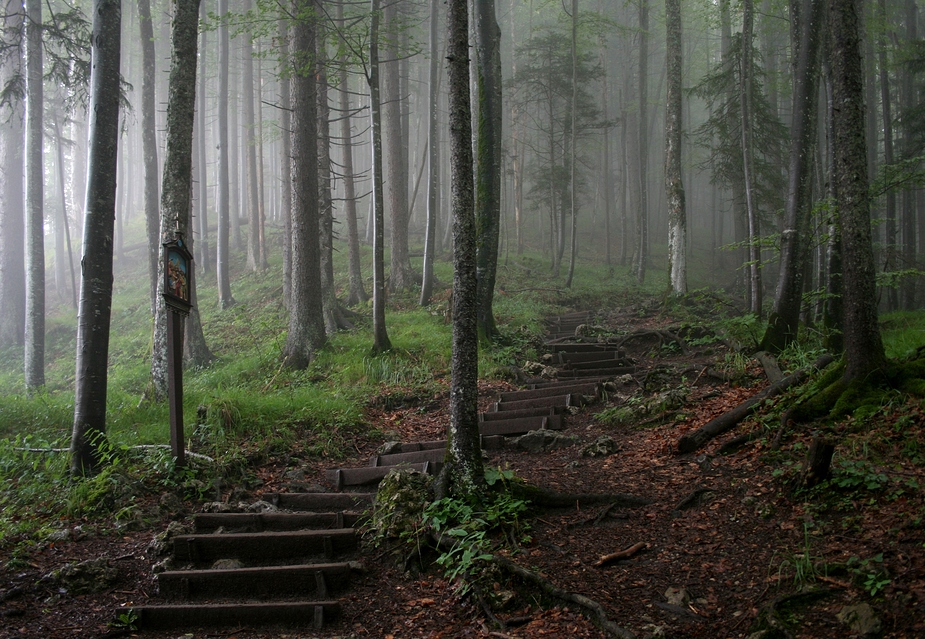 geheimisvolle Stiege