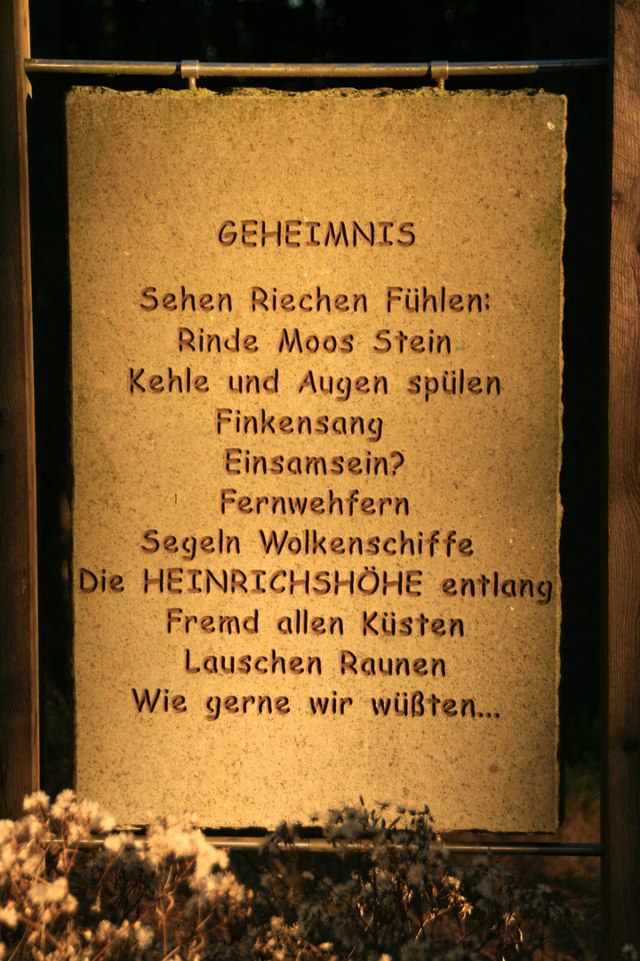 Geheimnis des Urwaldes