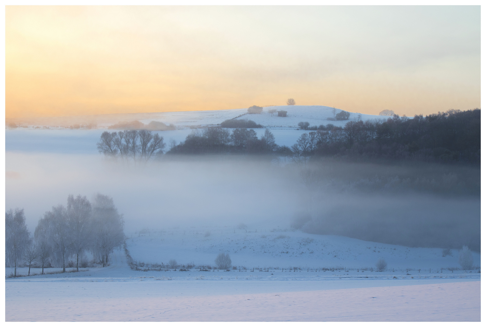 Geheimnisvoll - Winternebel