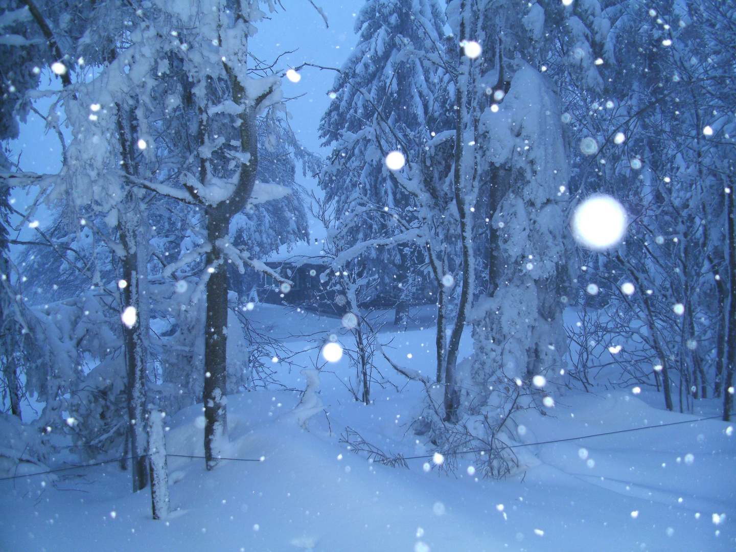 Geheimnisvolle Hütte im Schnee - Sauerland