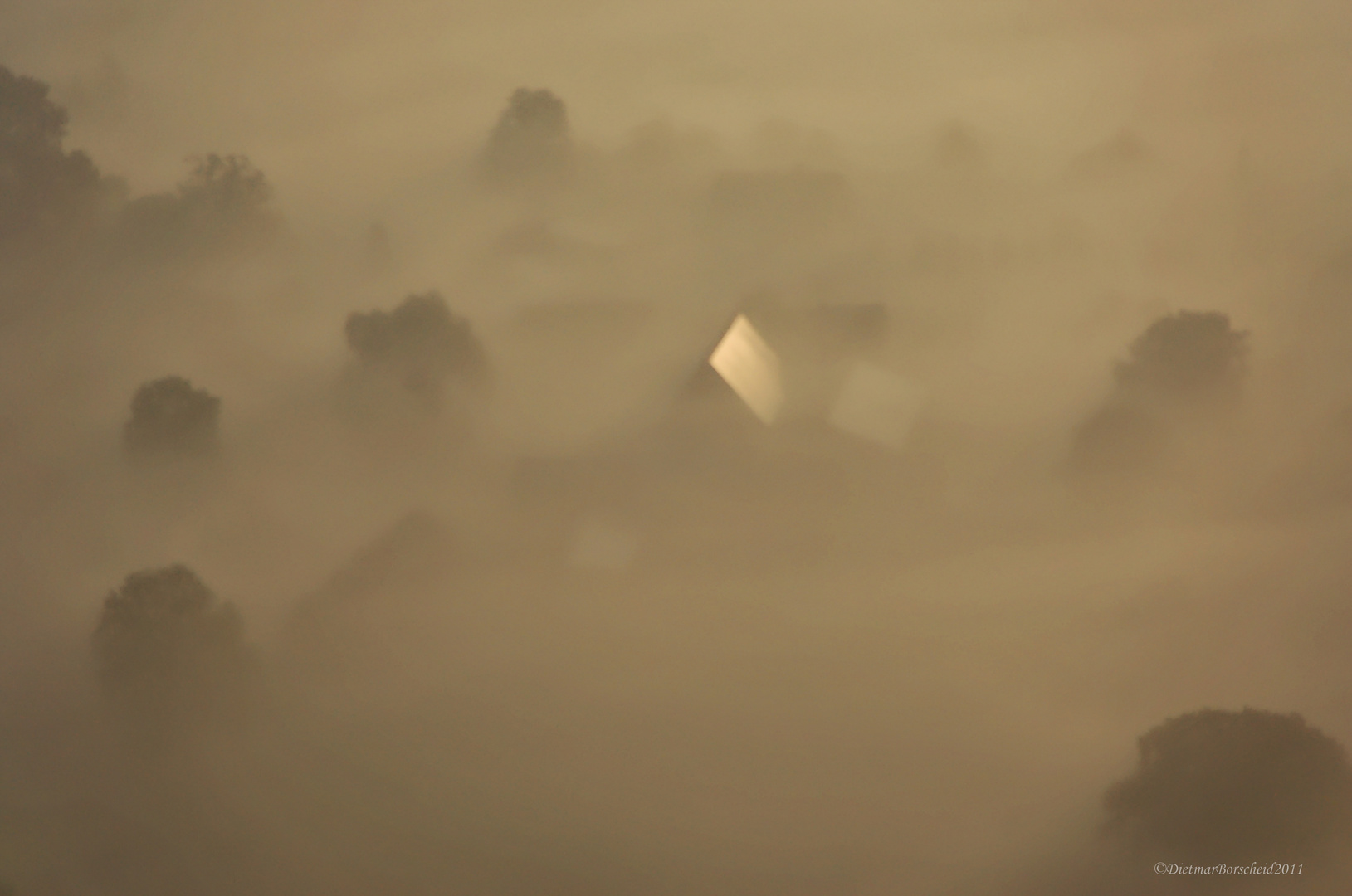 Geheimnisvolle Landschaft im Morgennebel