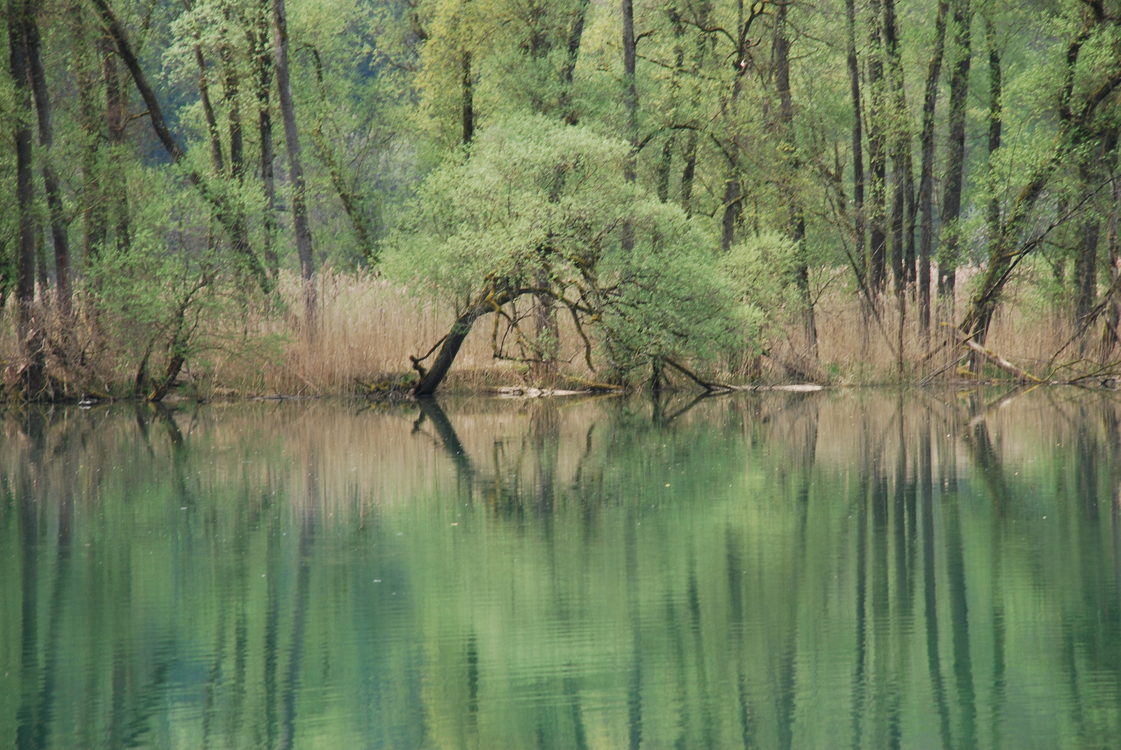 Geheimnisvolle Pforte zum Wasserreich