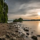 Geheimnisvolle Rhein-Insel 80