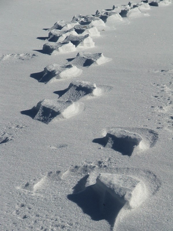 geheimnisvolle Spuren im Schnee