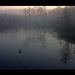 Geheimnisvolle Stille im Moor - erstes Licht... - (1. der Serie "Mecklenbruch")