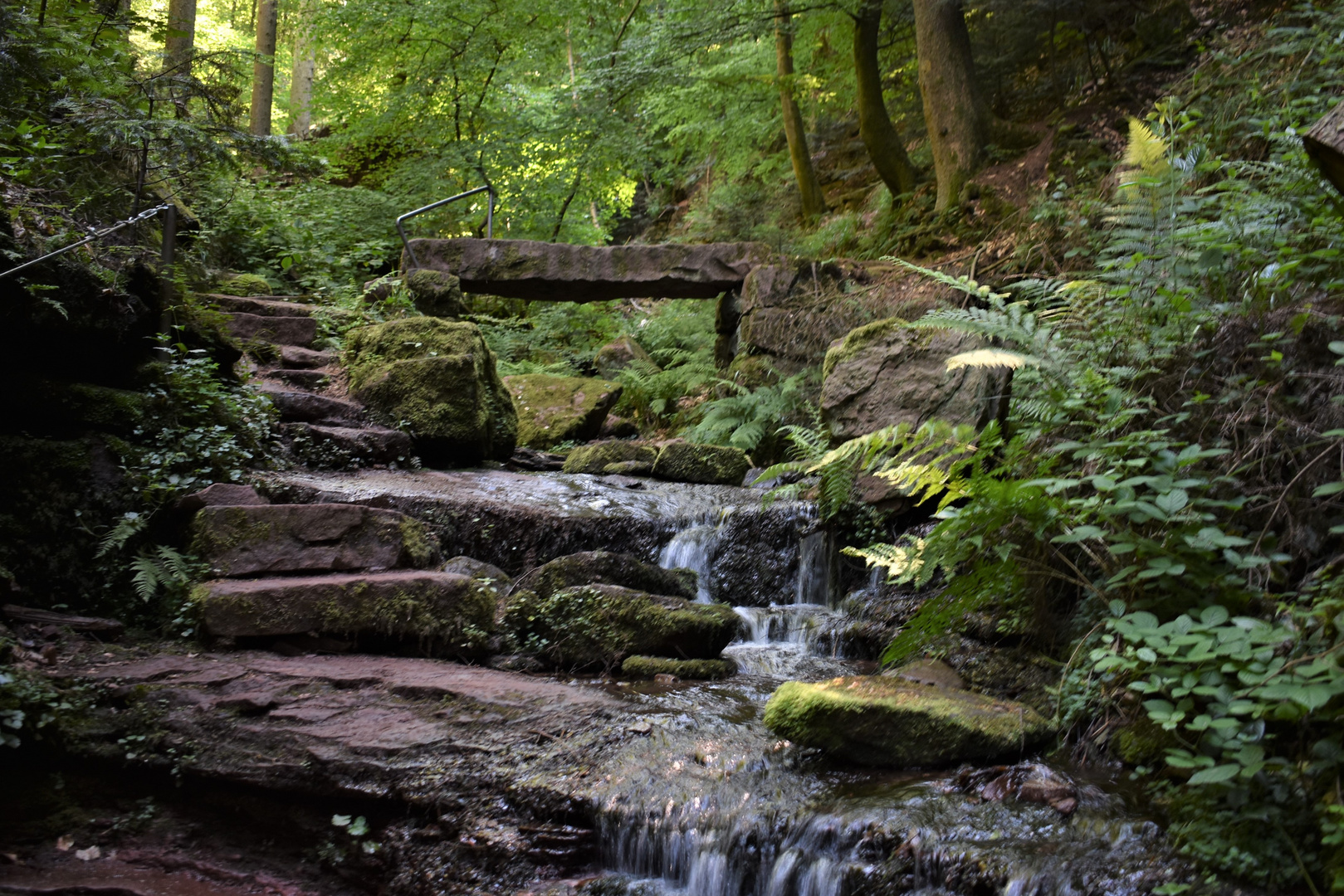 Geheimnisvolle Wolfsschlucht (2) 