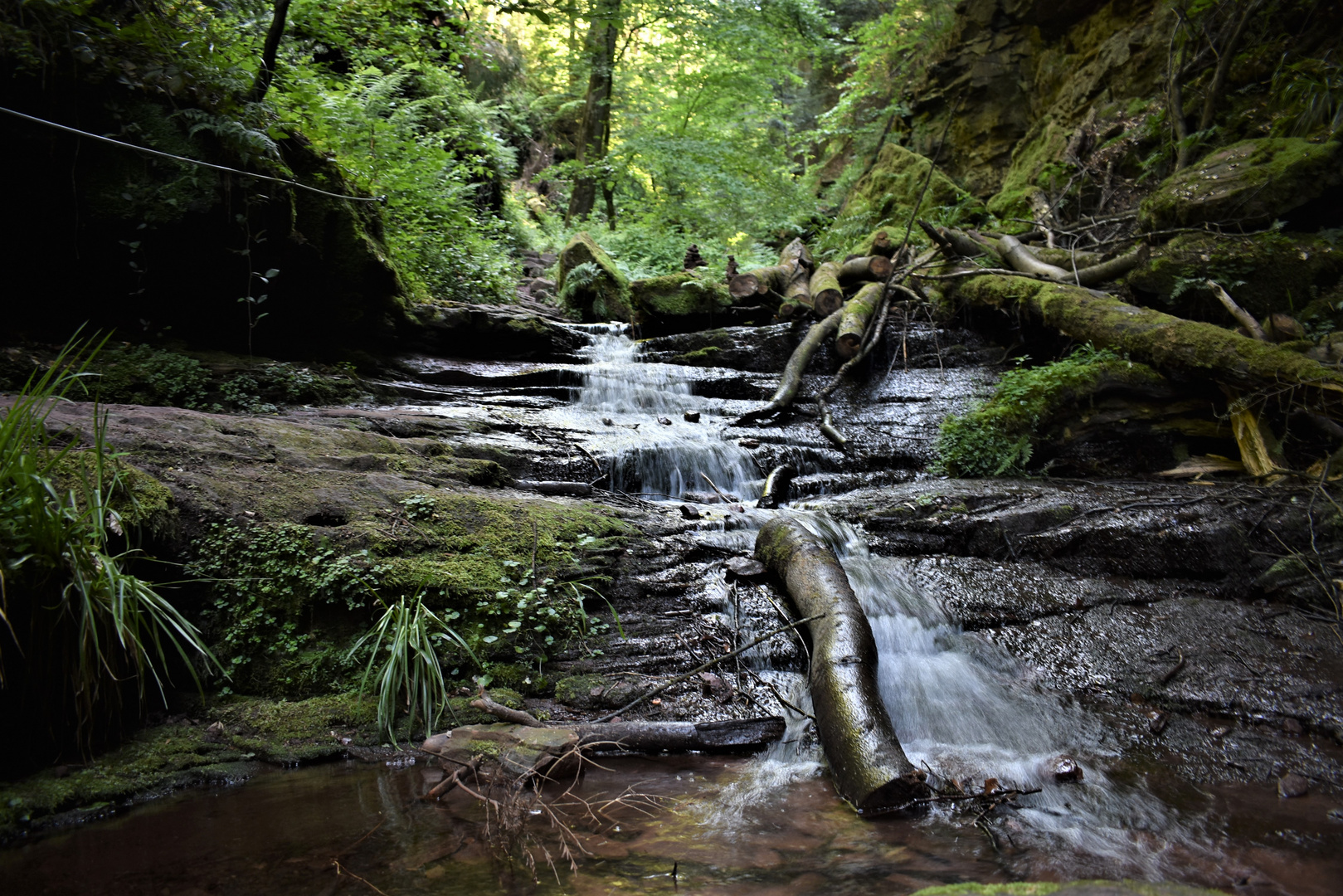 Geheimnisvolle Wolfsschlucht (3)