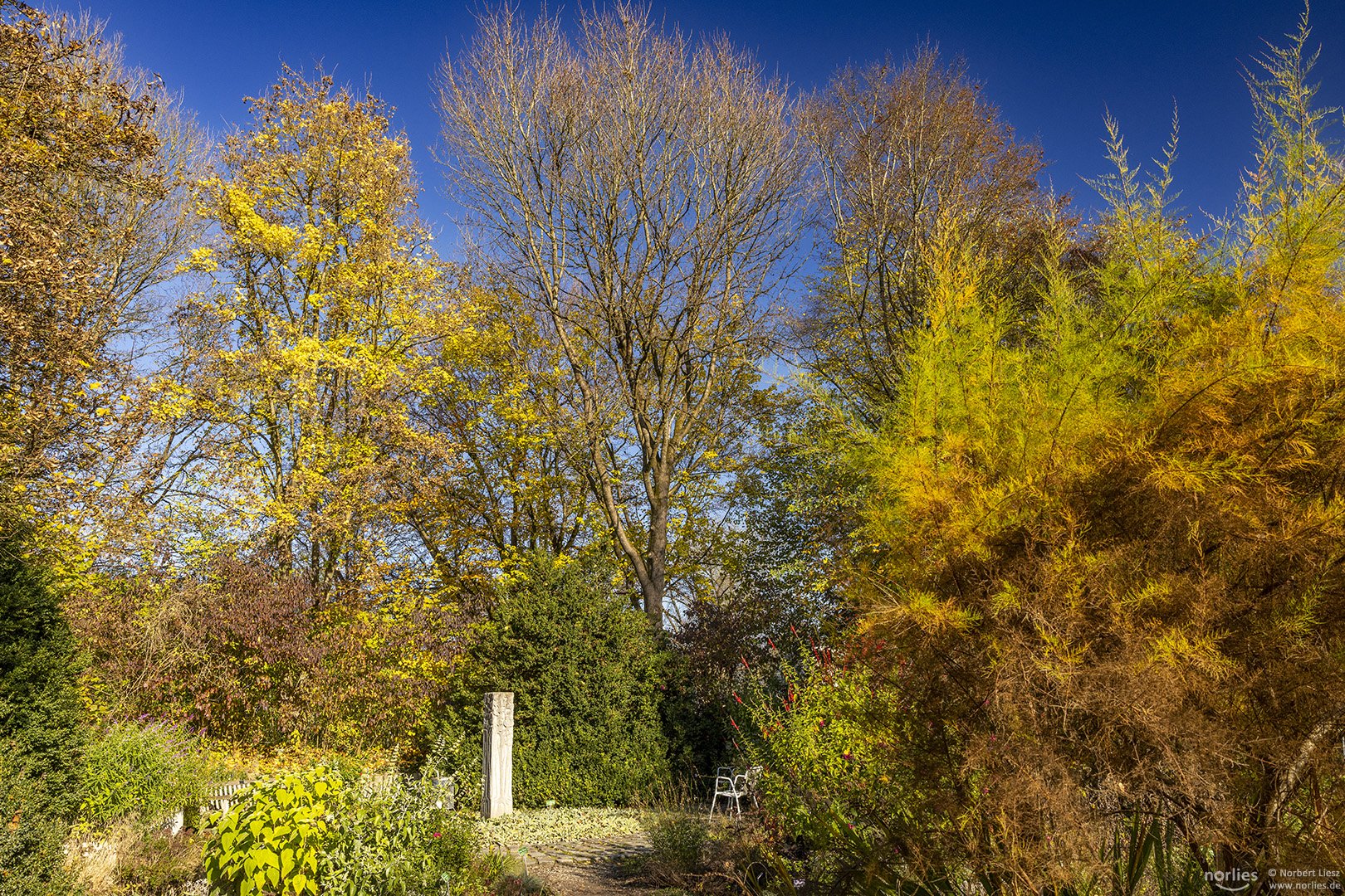 Geheimnisvoller Garten