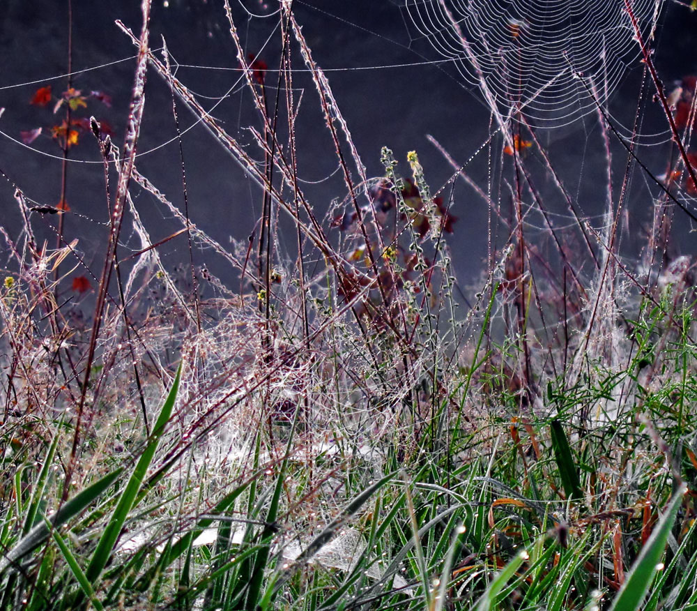 Geheimnisvoller Herbst