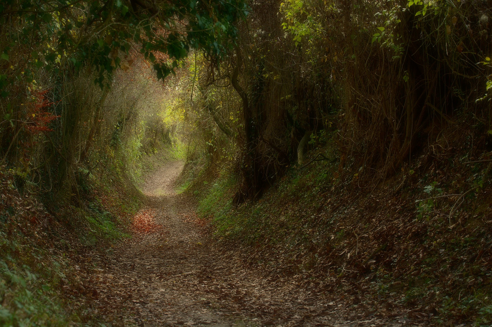 Geheimnisvoller Hohlweg